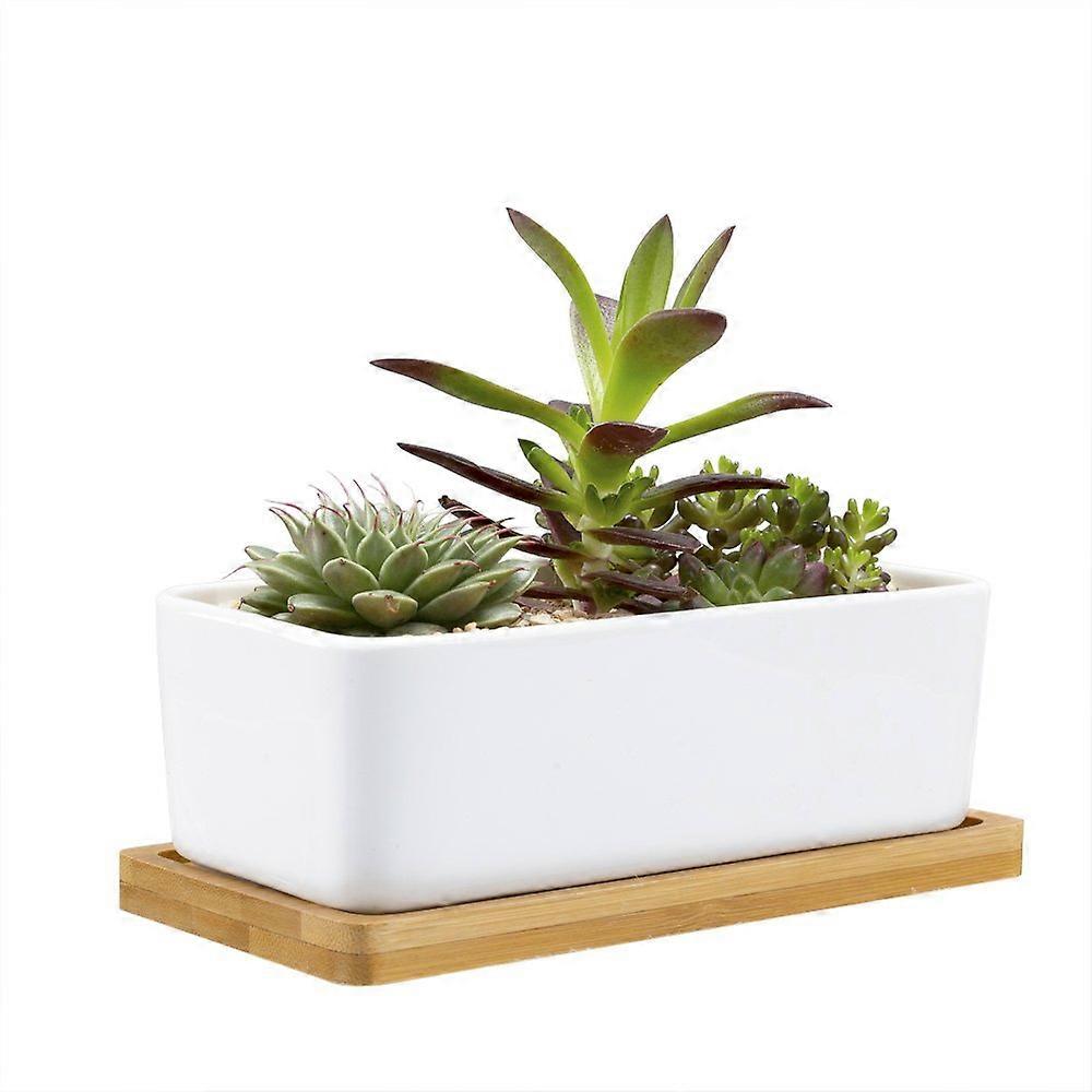 6.5 Inch White Ceramic Succulent Planter with Drainage and Bamboo Tray, Rectangular Plant Pot