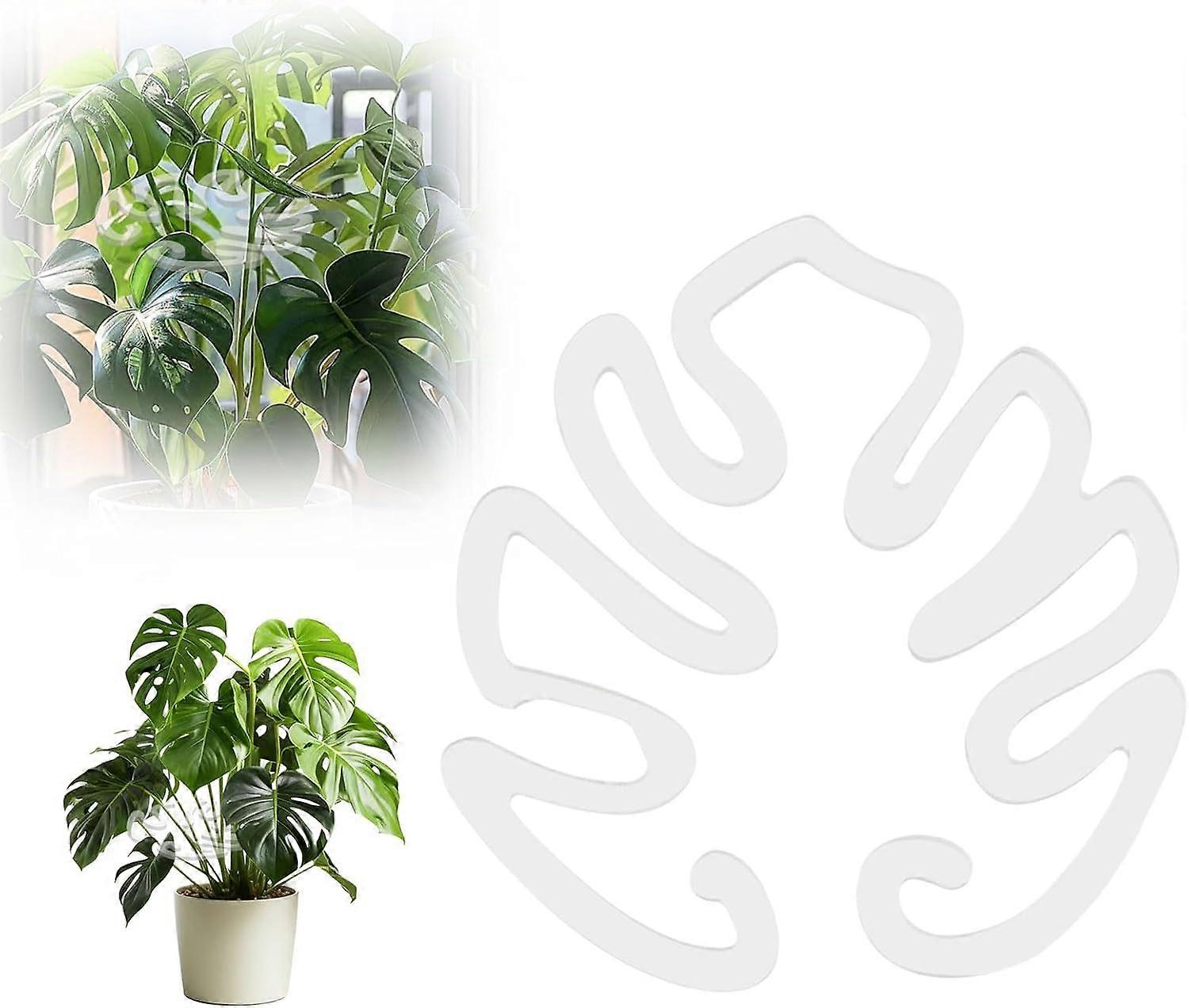 Plant Stem Support Set, Monstera Cracker Hooks