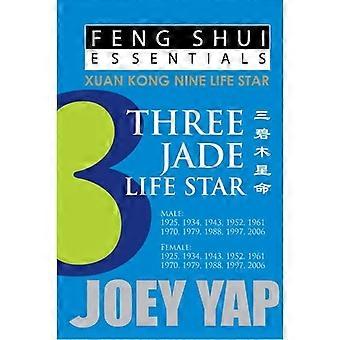 Feng Shui Essentials -- 3 Jade Life Star