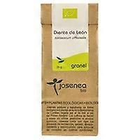 Dandelion 25 g