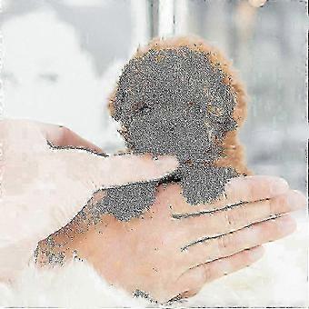 Interactive Robot Puppy Dog, Realistic Electronic Pet Cute Gift for Girls Kids 2025