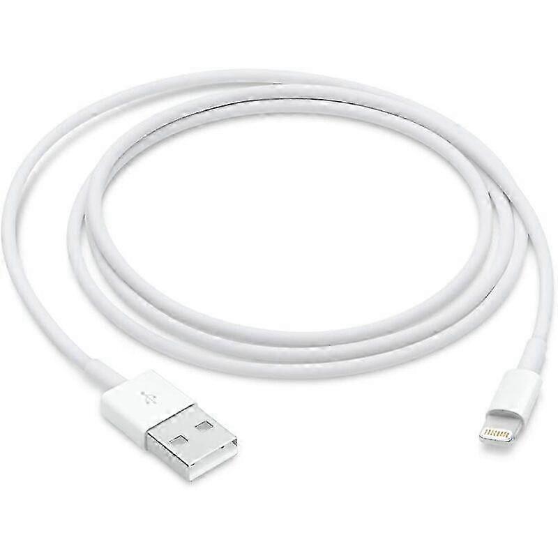 Apple Lightning to USB Cable (1m)