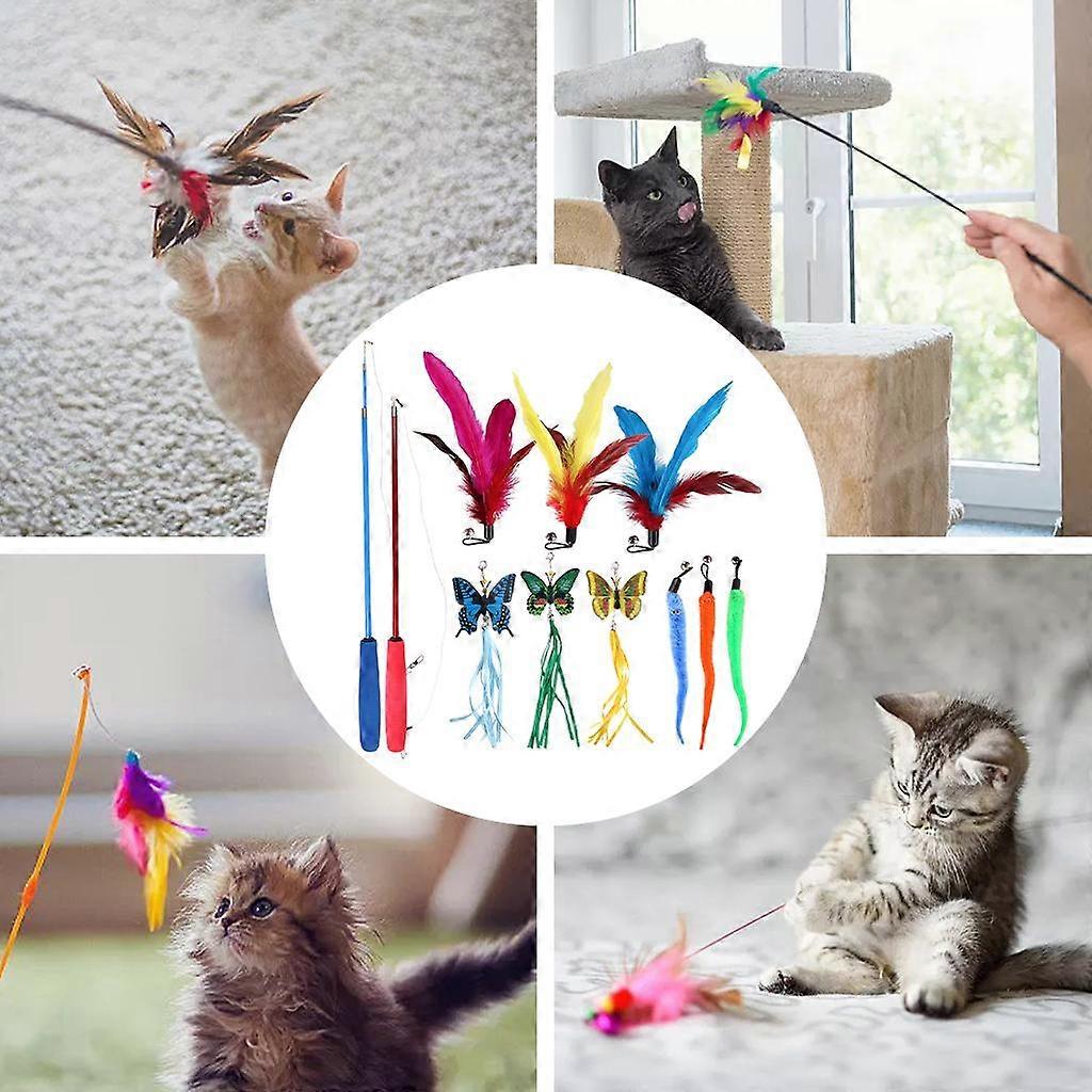 11 Pieces Cat Toy with 9 Refills Wand Telescopic Pole Extendable for Kitten Playing