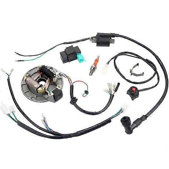 1 Set Ignition Stator Useful High Density Efficient Wiring Harness Ignition Coil Magneto