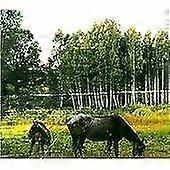 Pianos Become The Teeth Old Pride CD