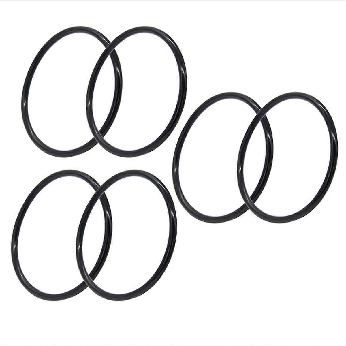 R172009 O-Ring for Model 300/320 Pool and Spa Chlorinator Lid (6 Pack)