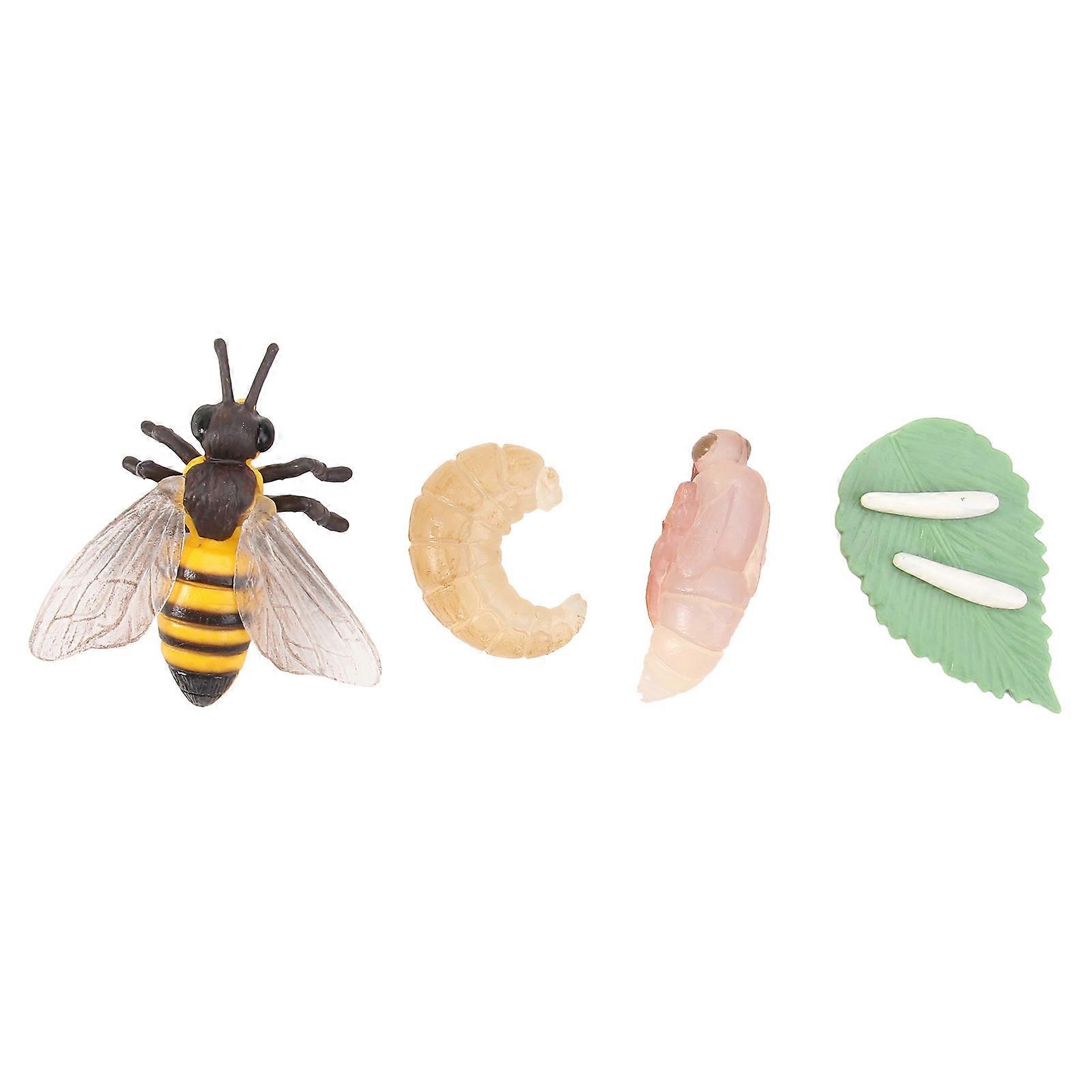 1 Set Creative Animal Growth Simulation Models Educational Teaching Tool for Storytelling Imaginative Play Preschool Daycare Use