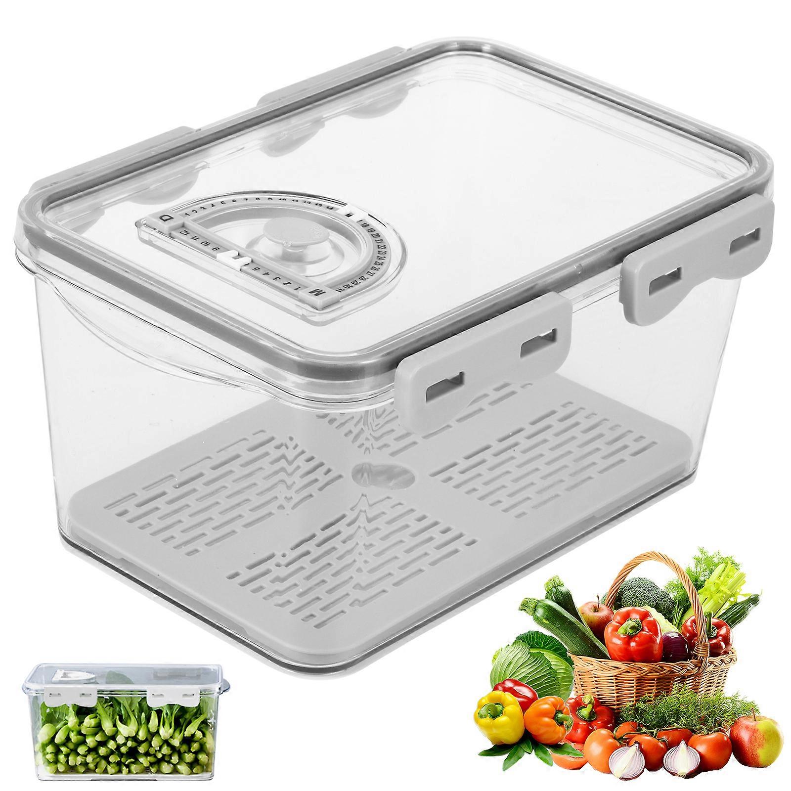 Draining Timer Bread Food Storage Container Medium Gray