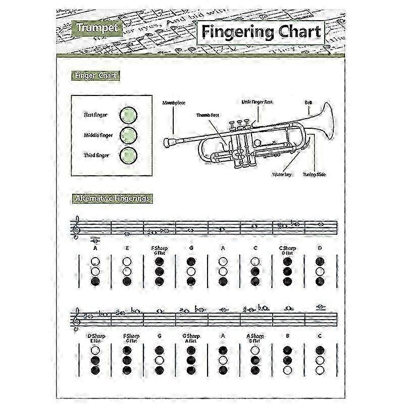 Trompete Übungstabelle Akkord Trompete Grifftabelle Trompete Grifftabelle Musik Akkorde Poster S