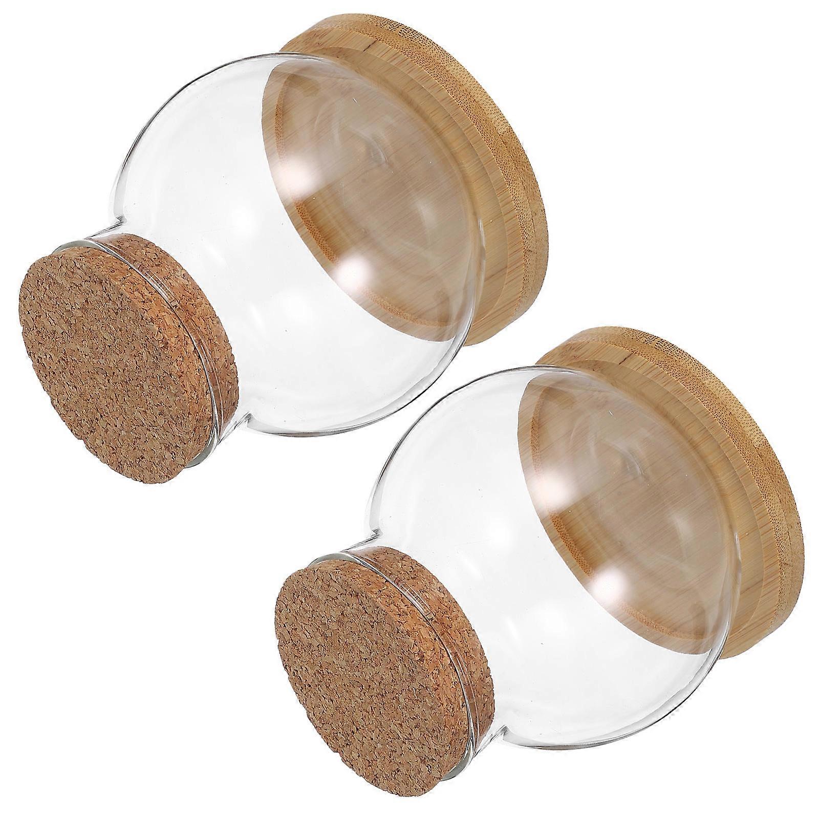 Glass Hydroponic Vase Planter for Plants Decor 10Sets with Bamboo Mat