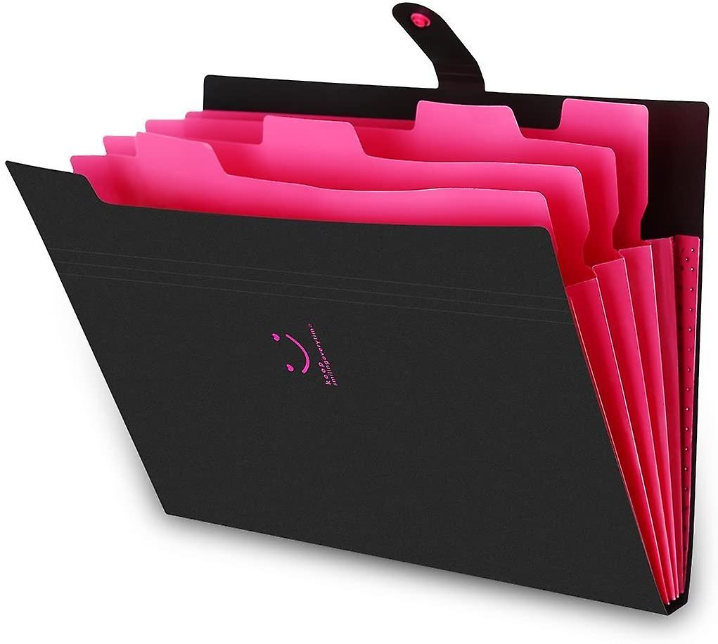 Expandable Portable Document folder, A4 document folder, A4 folder, 5 compartments Handheld folder