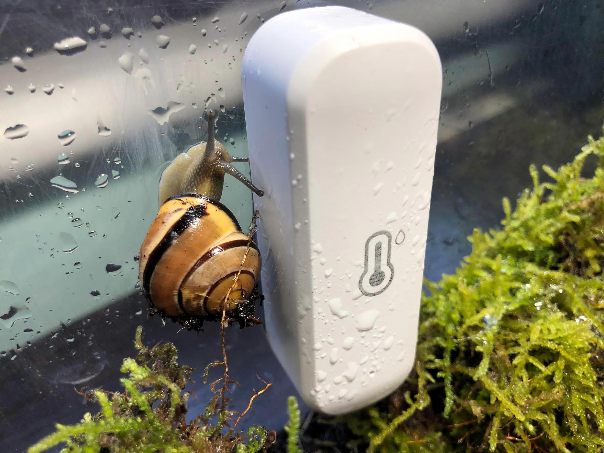 Smart WiFi Temperature and Humidity Monitor for Terrariums with RealTime Wireless Climate Tracking