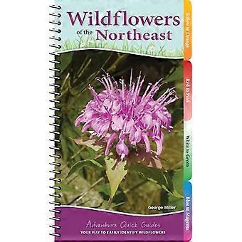 Fiori selvatici del nord-est: il tuo modo per identificare facilmente i fiori selvatici (Guide rapide di avventura)
