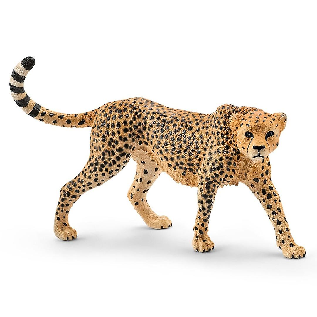 Schleich Cheetah