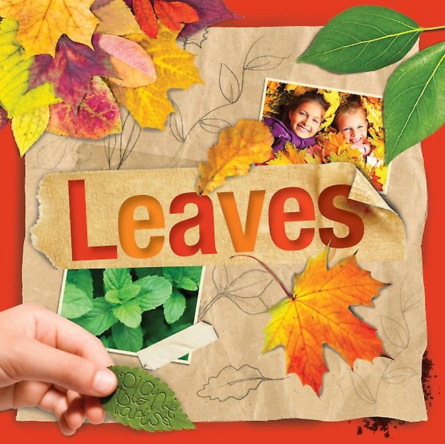 Leaves - Steffi Cavell-Clarke