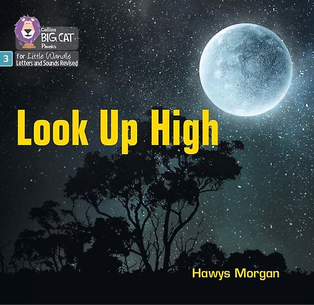 Look Up High by Hawys Morgan Paperback