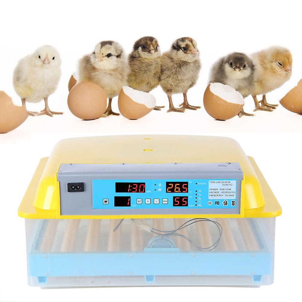 56 Eggs Intelligent Home Chickens Ducks Full Automatic Intelligent Temperature Control IncubatorCN Plug 220V