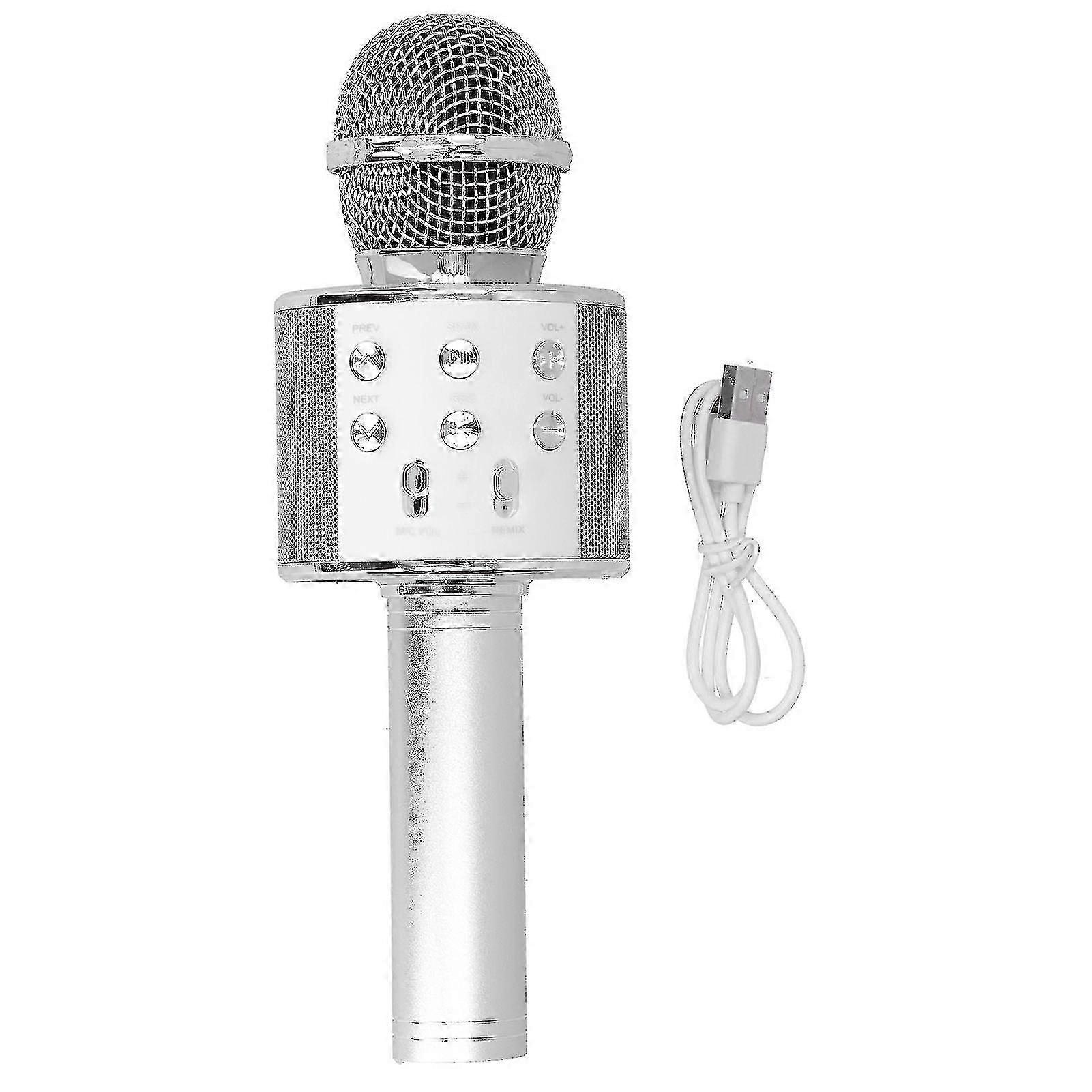 Wireless Microphone Bluetooth Recording Handheld Portable for Party Wedding Meeting_Feb