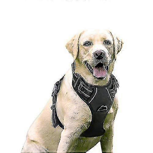 Dog Harness, No-pull Pet Harness With 2 Leash Clips