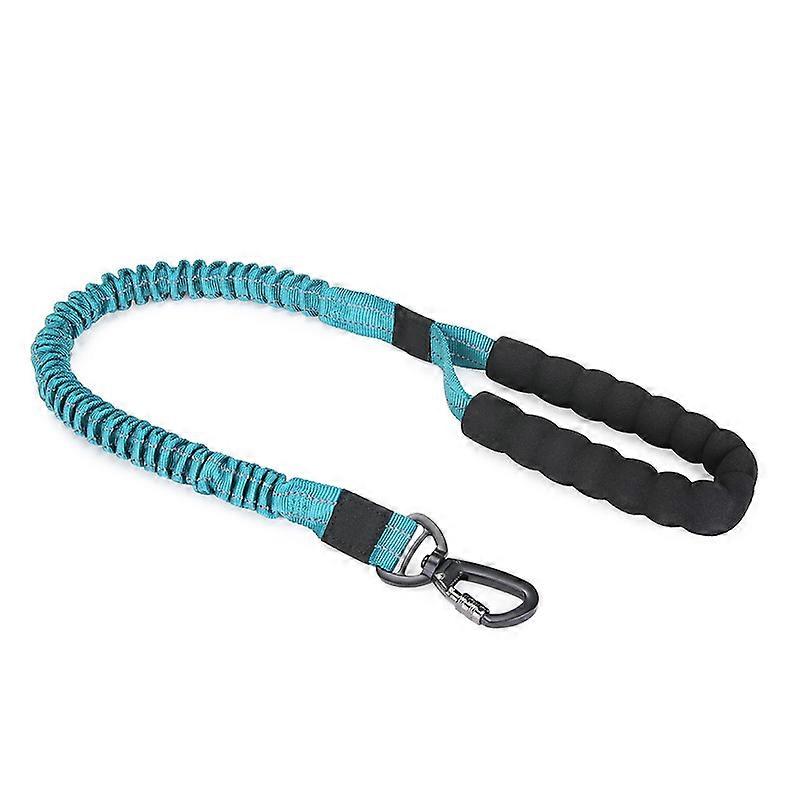Dww-Black Dog Leash 1pc with padded handle and non-slip leash, suitable for puppies, small, medium and large dogs, for running, jogging and hiking