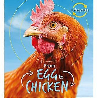 Lifecycles Egg to Chicken