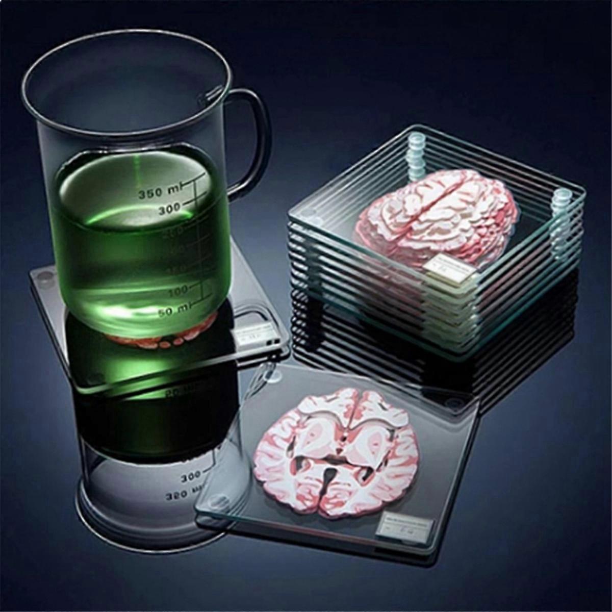 3D Organ Brain Artwork Brain Slices Acrylic Drinks Table Coaster