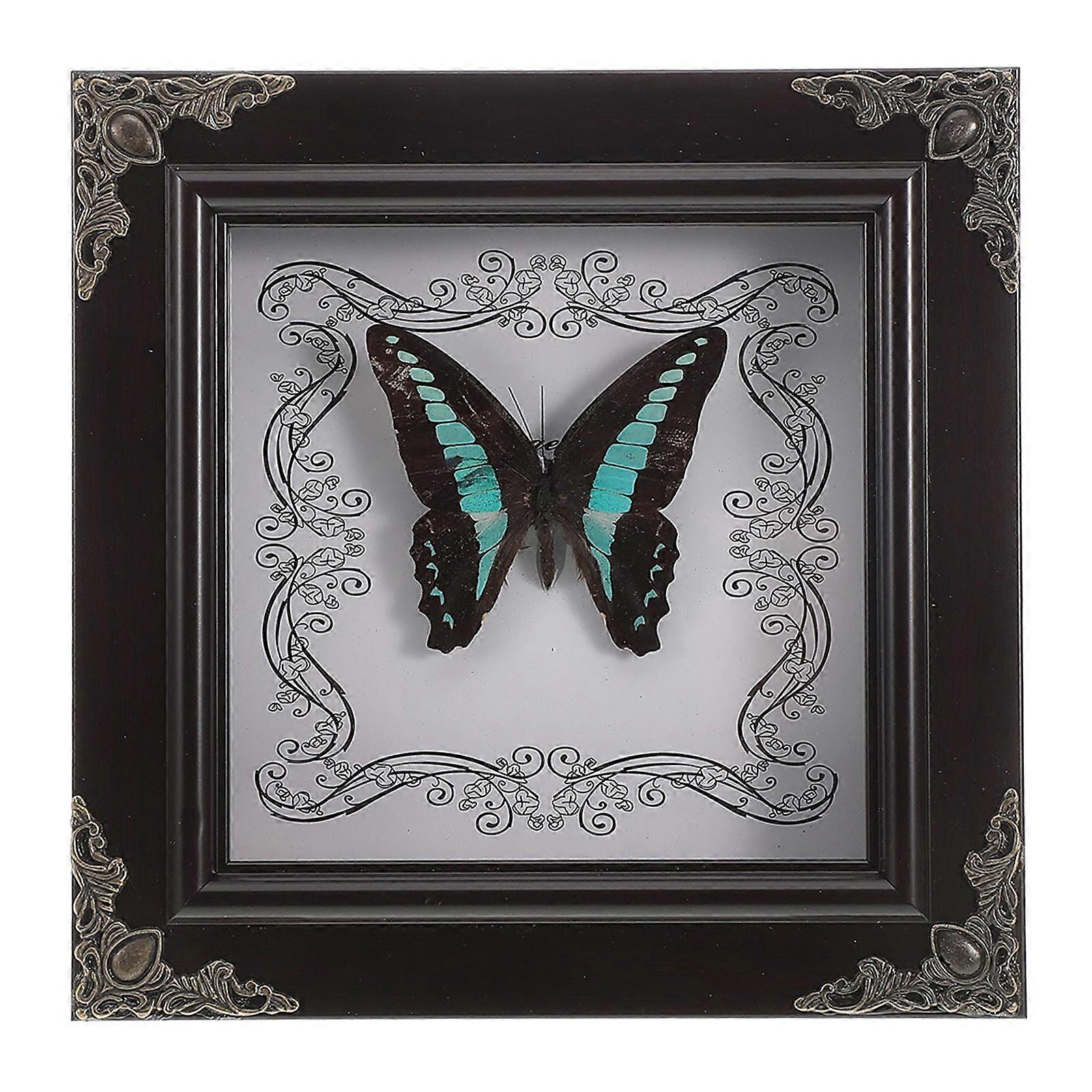Framed Butterfly Specimen Decorative Item Vintage Style Wood Material 16.90X16.90X2.80CM Indoor Display 1Set