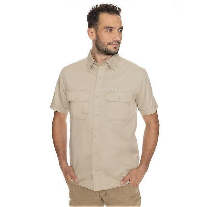 Bushman  Pretoria cremig M