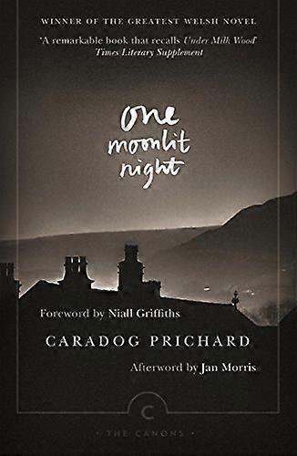 One Moonlit Night