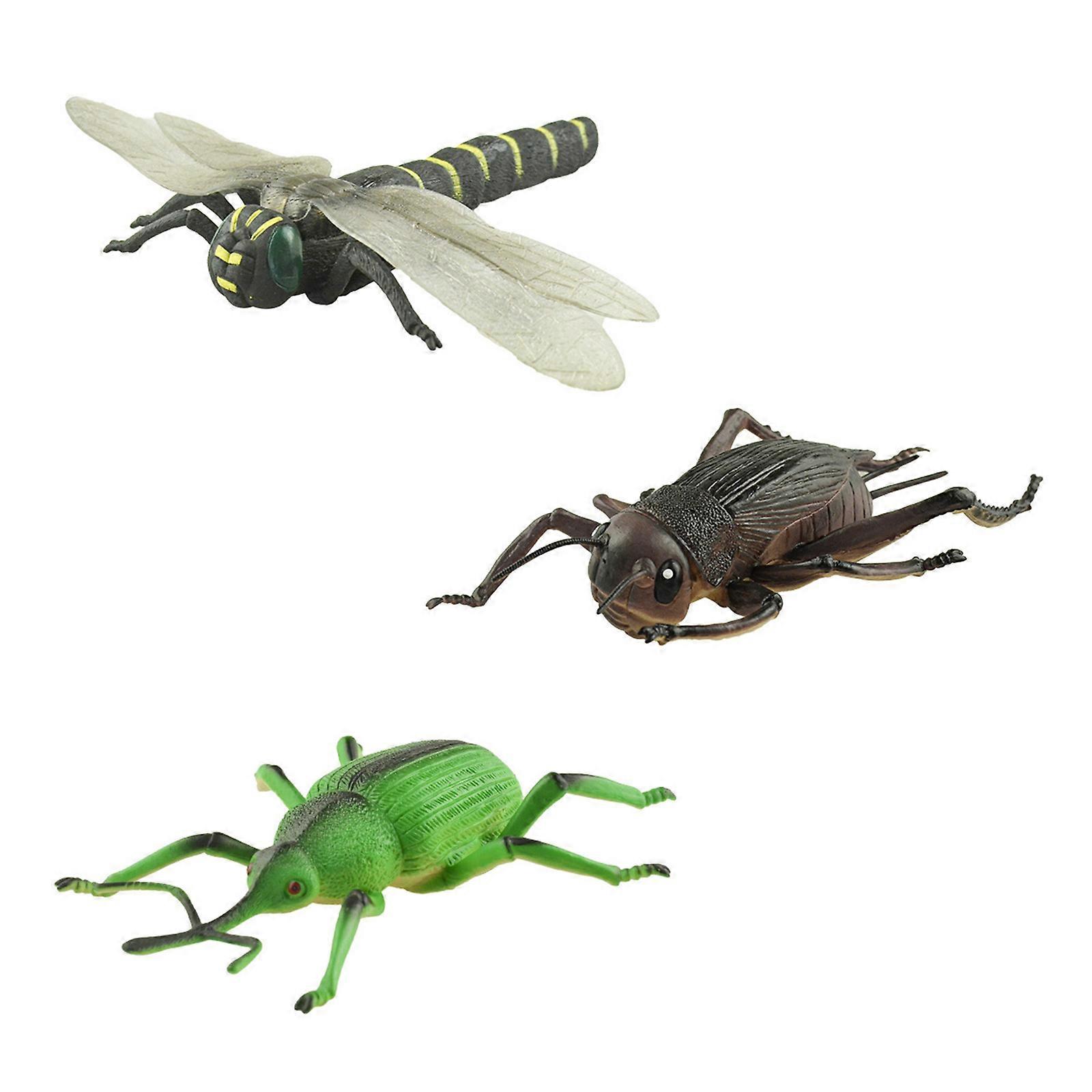 3PCS Life Like Insect Figure For Classroom Teaching Homeschool Biology Nature STEM Educational Learning Figurine Set Multicolor