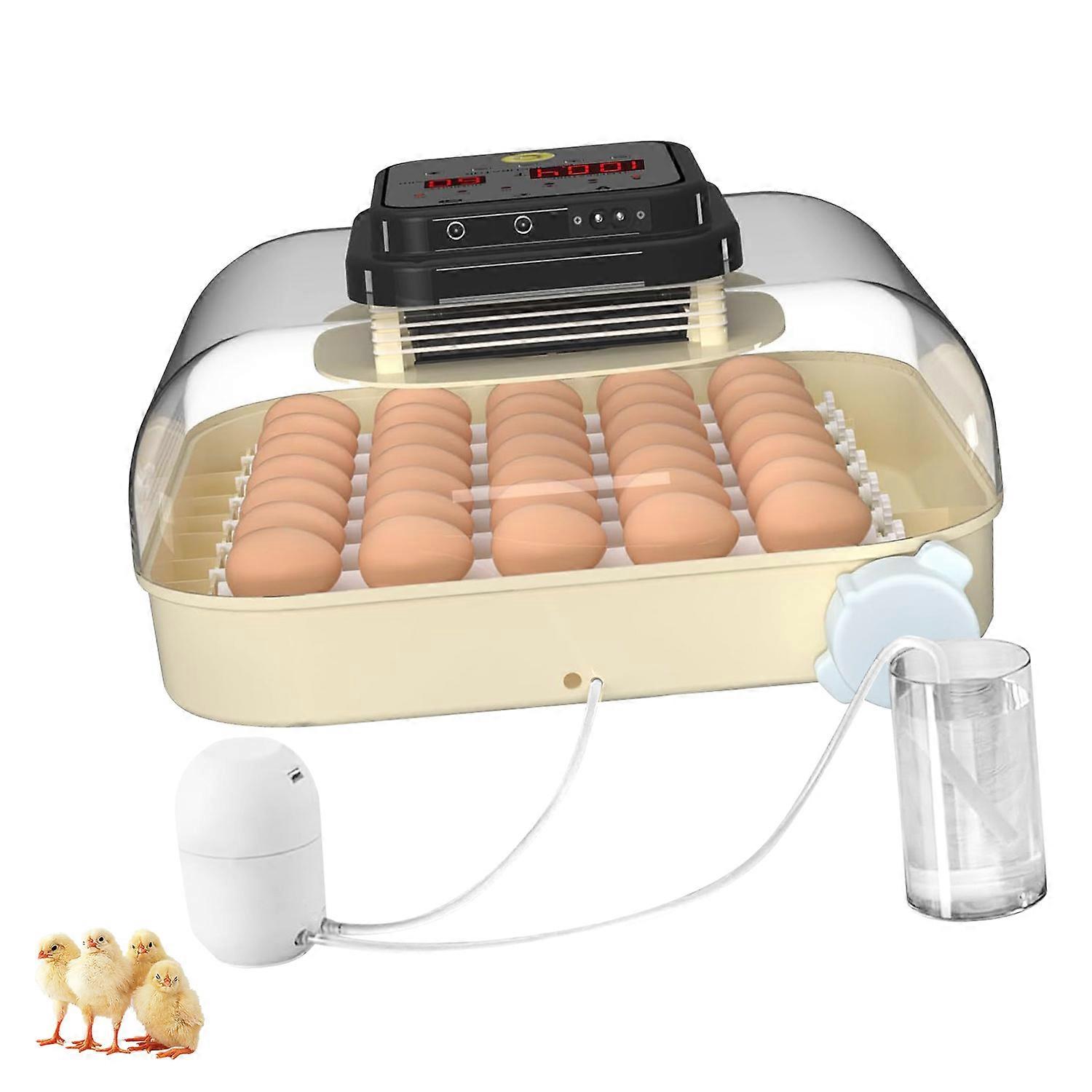 Automatic Dampness Control Oocyte Incubator With Quiet Action And Permanent ABS Building Multicolor