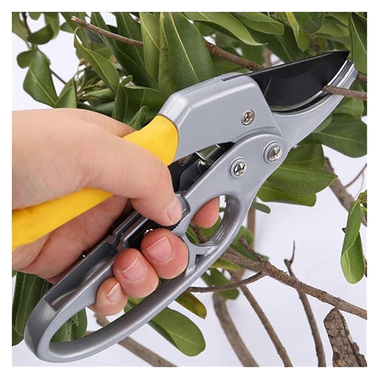 Pruning Shears with Ergonomic Grip and Sharp Blades for Thick Branches and Fruit Trees
