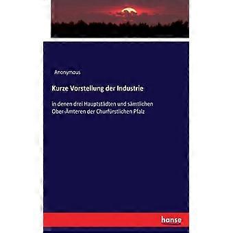 Kurze Vorstellung Der Industriein Denen Drei Hauptstdten Und Smtlichen Ober-mter - Anonymous - Paperback - English Book - History