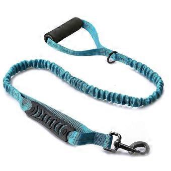 Shock-Absorbing Reflective Leash