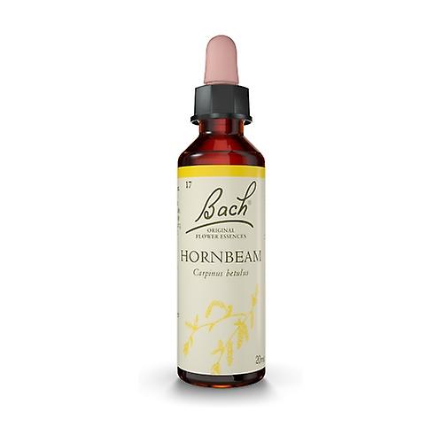 Bach Flower Essences 17 - Hornbean 20 ml of floral elixir