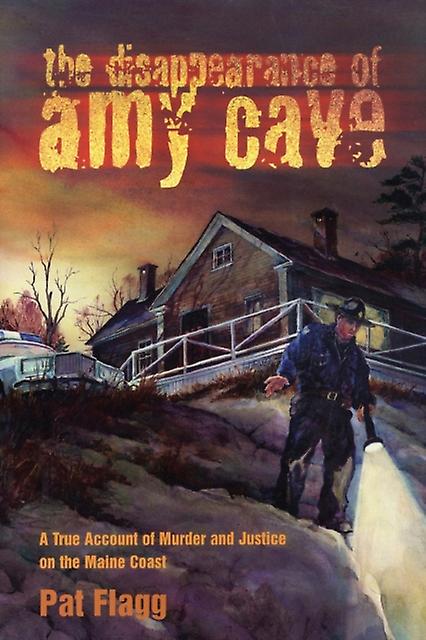 The Disappearance Of Amy Cave by Pat Flagg Paperback Book