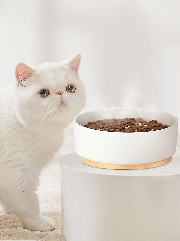 Pet Bowl