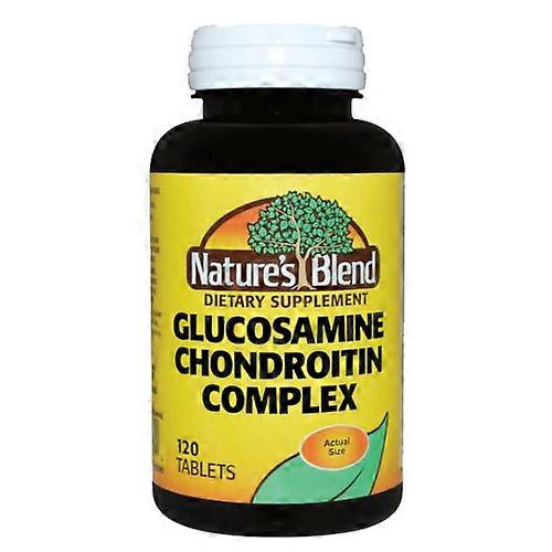 Nature's Blend Glucosamine / Chondroitin Complex, 120 Tabs (Pack of 1)