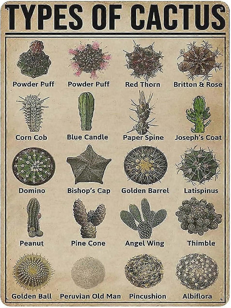 Tipos de Fogueiras Sinal de Lata Decoração de Metal 8x12 Polegadas OU 12x16 Polegadas Modo 1956