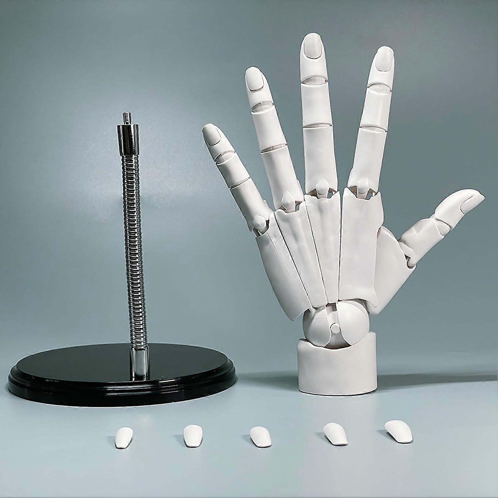 1:1 Flexible Hand Model for Artists, Movable Finger Hand Sculpture, Posable Mannequin for Drawing and Sketching