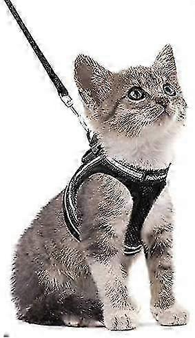 Soft and Adjustable Cat Harness Kit for Pets with Leash, Designed for Comfort and Safety