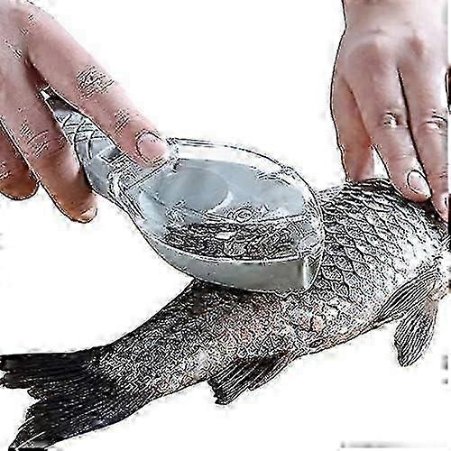 Écailleur de poisson, éliminateur rapide d'écailles de poisson
