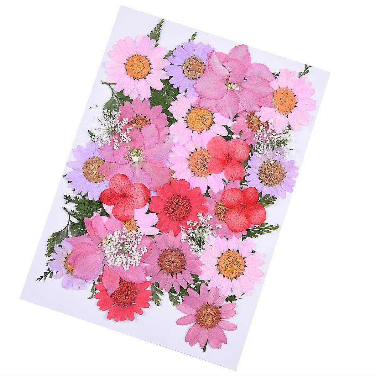 Real Dried Pressed Flowers Decoration For Craft Enthusiasts Assorted Color Pressed Flowers 35Pcs