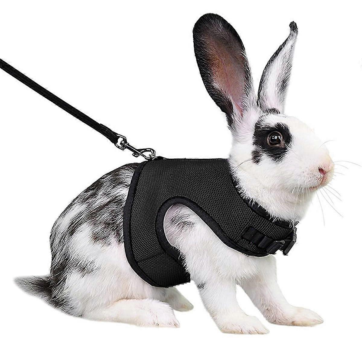 Rabbit Harness and Leash Escape Proof Vest for Small Pets, Mini Bunny, Guinea Pig, Ferret, Kitten, Black M