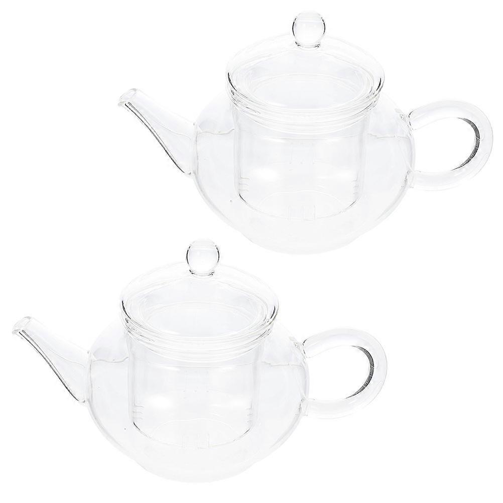 Handheld Thickened Glass Tea Kettle for Home Use 2Pcs Transparent Set