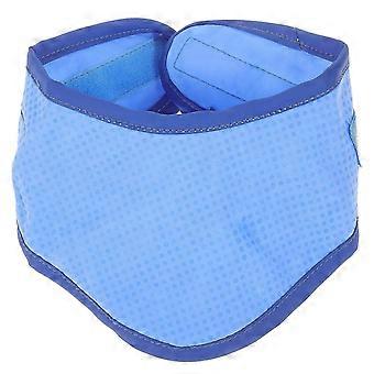 Cooling Blue Size L Creative Pet Collar for Summer Dogs and Puppies