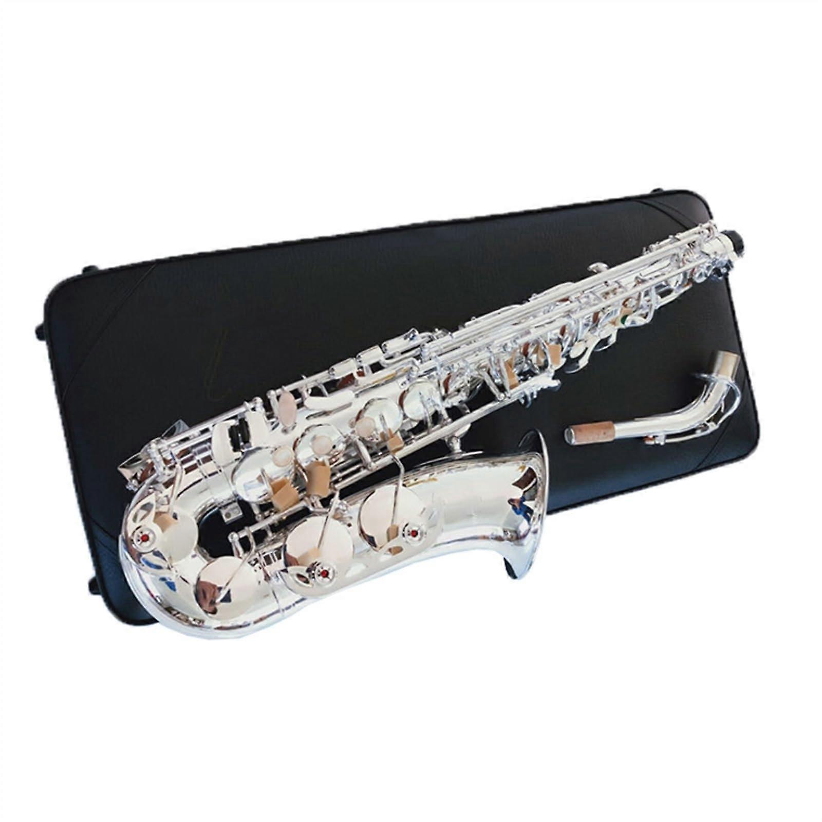 Silver E Flat Alto Saxophone for Beginners with Durable Silver Finish and Complete Accessory Set