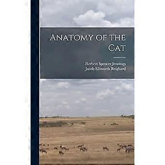 Anatomy of the cat