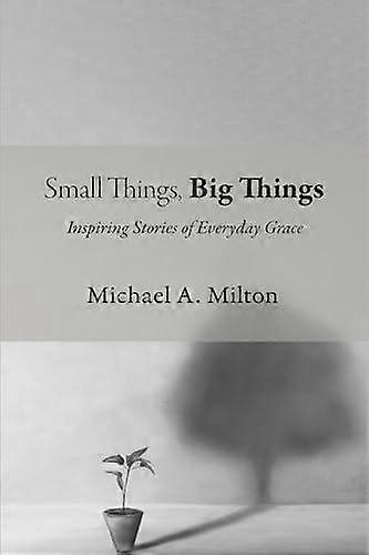 Small Things Big Things - Michael A. Milton - Paperback - en Book