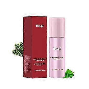 Matte make-upspray, mild, fris en langdurig verzorgend, gezichtsmake-up, olieverwijderend, verstevigende poriënspray, 26 stuks.